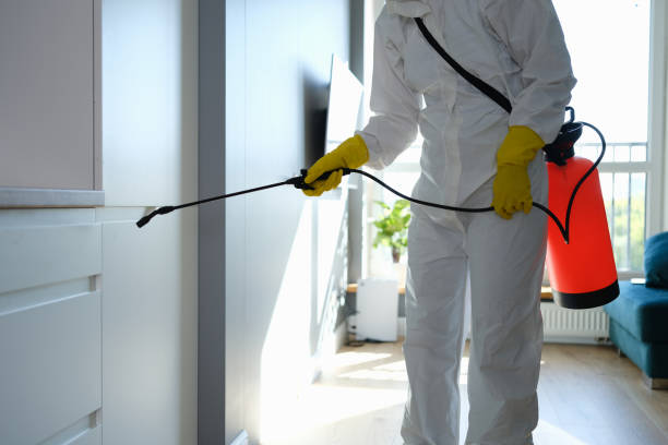 Best Commercial Mold Removal  in West Sand Lake, NY